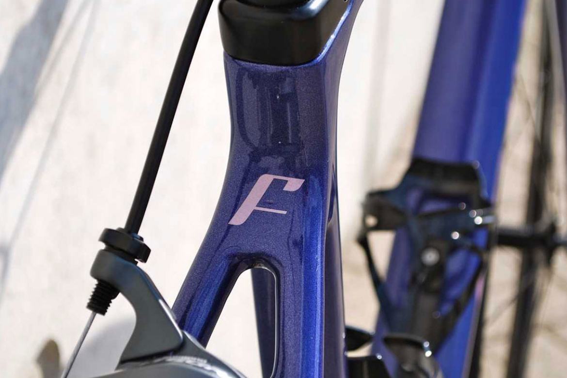 Custom dames racefiets |metallic paarse racefiets | Fons bikes